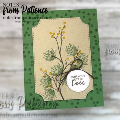 Stampin’ Up! Branching Out Bundle